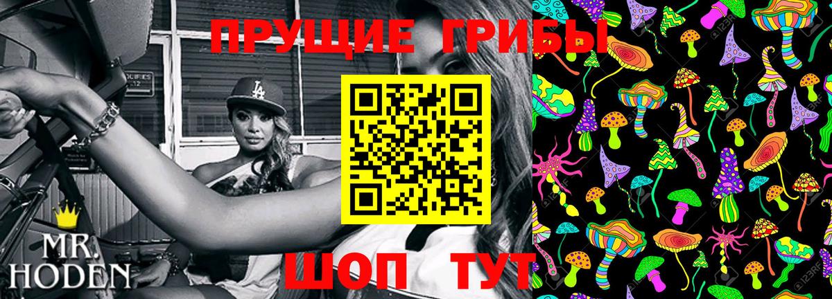 купить закладку  Галлюциногенные грибы мухоморы  Вход с VPN  Изобильный  Галлюциногенные грибы Psilocybine cubensis 