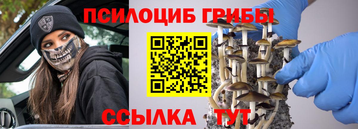 Псилоцибиновые грибы прущие грибы Изобильный